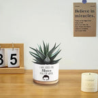 Thrice Now for Water Ceramic Succulent Planter Cactus Pots, Funny Planter Pots Gifts for Plant Lovers ﻿