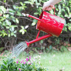 1 Gallon Watering Can, Red, Galvanized, Metal Watering Can with Removable Spout, Perfect Water Can for Indoor & Outdoor Plants