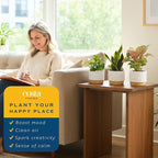 Live Indoor House Plants (3-Pack), Hand Selected Easy to Maintain Indoor Assorted Houseplants in Plant Pots, Curated Air Purifying Mix, Low Light, Home Office Decor Plant Gift