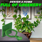 Plant Wall Clips for Climbing Plants 110 Pcs - Pothos Plant Climber Support, Large, Medium, Small Sizes Wall Clips for Support, Strong Self-Adhesive, For Indoor Plants, Cable Management & Plant Holder