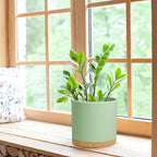 WSMKSZ 8 Inch Medium Flower Pots for Indoor Outdoor Plants, Cylinder Deep Plant Pots with Drainage Holes & Saucer, Decorative Plastic Planter Pots for Garden House Plants, Green with Brown