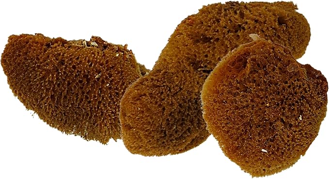 Needzo All in One Starter Kit Hermit Crab Habitat Supplies, DIY Terrarium Pack with1 Gallon Plastic Cage, Gravel, Scooper, Sponges, and Palm Tree Feeder for Crabs and Reptiles, 5 Pieces