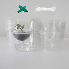 ORIMERC 4 inch Clear Nursery Pots with Drainage, Garden Pots for seeds, Seedling Pots for Plants, Self Watering Small Plant Pots, Plastic Seed Starter Planting Pots for Vegetable Fruit Flower (60 Set)