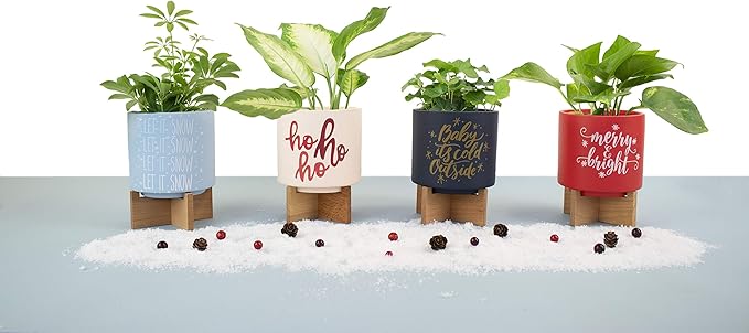 Ceramic Holiday Planter Pot, Let it Snow Design, Powder Blue & White, Holds 4" House Plant or Succulent, Festive Winter Christmas Home Décor with Wood Stand