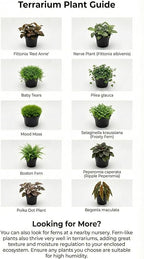 DIY Terrarium Kit with 13 Items Soil Pebbles Sphagnum Moss Activated Carbon Burlap Peat Moss Terrarium Tools Indoor Garden Make Your Own Terrarium
