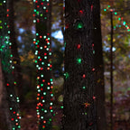 TW SHINE Christmas Mini String Lights, 20FT 100 Count Incandescent Mini Christmas Tree Lights, Waterproof Xmas String Lights for Outdoor Indoor Home Party Yard Decorations, Red and Green