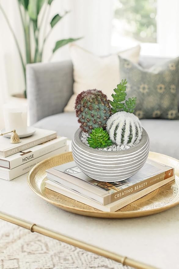 Artificial Cactus Plants Indoor, 5.5" Assorted Small Faux Succulent in Pots Fake Potted Desk Plant with Concrete Bowl Mini Succulents Artificial Cactus Decor for Home Office Bathroom Table Shelf
