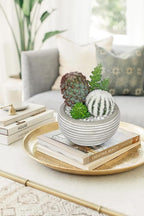 Artificial Cactus Plants Indoor, 5.5" Assorted Small Faux Succulent in Pots Fake Potted Desk Plant with Concrete Bowl Mini Succulents Artificial Cactus Decor for Home Office Bathroom Table Shelf