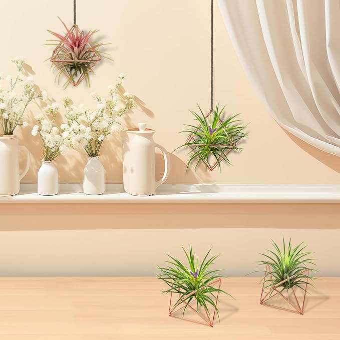 Hanging Air Plants Holders, 2Pcs Metal Air Plant Hangers for S-M Sized Air Plants, Himmeli Geometric Planter to Add a Sense of Style and Relaxation for Home Office Wedding (PinkGlod, 2pcs)