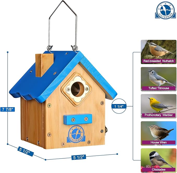 SISTERBIRD Wren Bird House for Outside, Premium Wooden Wren Bird Houses, Hanging Chickadee Bird House, Weatherproof Garden Decor Birdhouses for Outdoors, Blue Color Roof Bird Nesting Titmouse