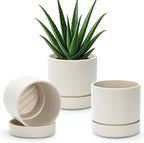 Phoenix Vine 6 Inch Planter Pot with Drainage Hole & Saucer, Deep Water Catch Tray, Straight Cylindrical Round Pot for Plants, Oatmeal, Pack of 3, 23-E-S-3
