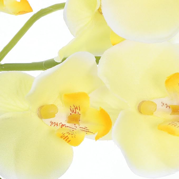 Artificial Butterfly Orchid Potted Flowers Real Touch Faux Orchids in Plastic Pot Yellow Home Table Centerpiece Decoration for Office Living Room