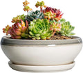 SQOWL Succulent Planters - 6 Inch Ceramic Bonsai Pots, Shallow Planter with Drainage Hole and Saucer, Round Planter for Indoor Outdoor, Cactus Succulent Pots, Desk Decor, Garden Gifts, Gray-Beige