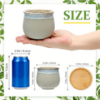 3.5 Inch Succulent Pot with Drainage,Planting/Flower Pots,Small Planter for Mini Plant Ceramic Flowing Glaze Base Serial Set with Holes