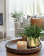 Coferset Small Fake Plant Fern Potted Artificial Plants Fake Fern for Shelf Home Bathroom Office Decor(Gold Mental Pot)