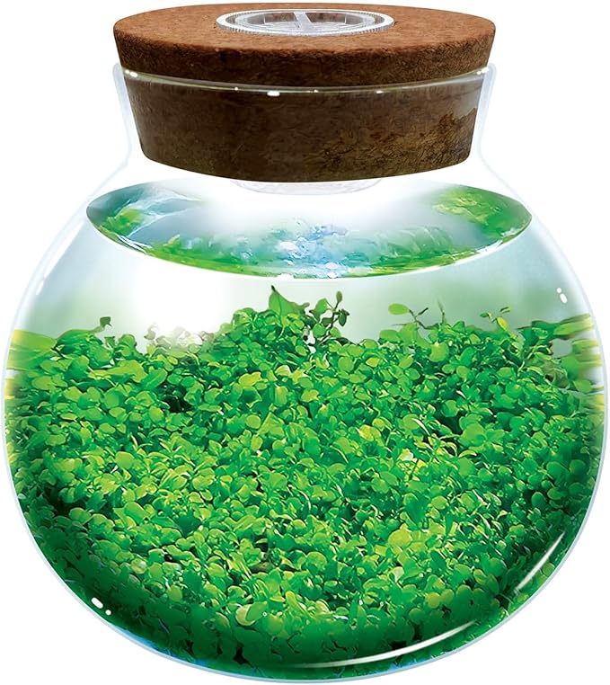 WaterPlants- Create Your Own Lush and Soothing Aquascape Terrarium Starter Kit, Indoor Plant Glass Globe Terrariums with Powerful 3 LED Light and Complete Supplies, Just Add Water!
