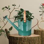 Metal Watering Can for Outdoor and Indoor Plants, Watering Can Decor, 1 Gallon (1 Gallon Green2)
