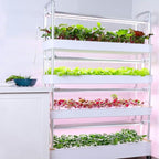 FLTRGO Indoor Garden Hydroponic Growing System,3/4 Tier Hydroponics Tower Set,Hydroponic Planter,Plant Vertical Hydroponics,Suitable for Planting Leafy Vegetables,Stem Vegetables