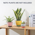 Selamica Ceramic Plant Pots, Indoor Flower Pots for Indoor Plants, 3.5+4.6+5.5 Planters with Drainage Hole & Saucer, Set of 3, Home Decor, Assorted Colors