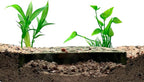 Shrimp Breeding Protector | Shrimp Breeding Cave Aquarium Tunnel | CTWPets (Forest Green)