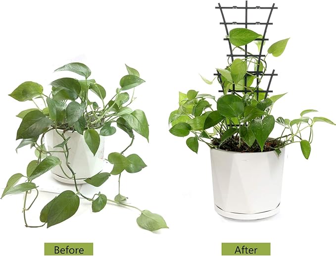 Feitore Plant Trellis Indoor, 6Pcs Stackable Plant Trellis for Climbing Plants Indoor, Small Plant Climbing Trellis for Potted Plants Plastic Climbing Plant Support Trellis for Houseplant Hoya Pothos