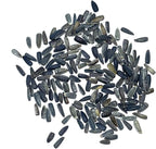 Seed Needs Italian White Sunflower Seeds for Planting Pale Yellow Sunflowers - Heirloom & Open Pollinated Flower Seed to Plant an Outdoor Butterfly Garden (2 Packs)