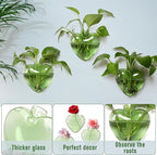 Wall Hanging Planter Propagation Station for Indoor Plants Glass Vase Air Plant Holder Gift for Women Girlfriend Plant Lover