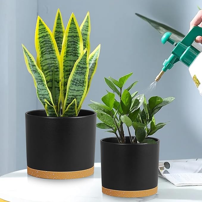 Large Plant Pots Set of 3 – 8", 9", 10" Indoor Flower Pots with Drainage Holes and Saucers, Big Planters for Monstera, Fiddle Leaf Fig, Snake Plant – 5 Colors