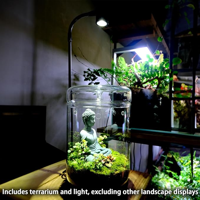 SARUFO Glass Plant Terrarium 4.7"X7" Inches Succulent Air Planter Fern Moss Micro-Landscape Vase for Home Office Tabletop Decoration Container with Lid Indoor Wardian Copyright Patent（with Light）