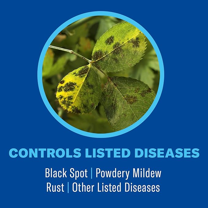 BioAdvanced 3 in 1 Insecticide & Fungicide for Plants, Disease & Plant Mite Control, Ready-to-Spray, 32 FOZ