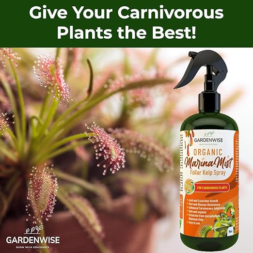 GARDENWISE 100% Organic Marina Mist Carnivorous Plant Food | Liquid Kelp Foliar Spray for Plants - Kelp Fertilizer for Venus Flytraps, Sundew, Butterworts, Pitcher Plants 16 Oz