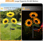 Meagoo Solar Sunflower Lights, 800mA Solar Garden Light with Real Looking Flowers Outdoor Waterproof Solar Stake Lights for Back Yard, Flower Bed, Pathway, Patio, Porch, Fall Decoration (6 Pack)