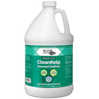 Bloom City Seaweed and Kelp Fertilizer – Liquid Seaweed Supplement for Stronger Roots, Faster Growth & Improved Stress Tolerance, 1 Gallon