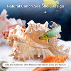 NIIIYTYB Air Plant Holders Natural Conch Shell Seashell Planters for Tillandsia Succulent Display Decorative Air Plant Pots Beach Themed Home Décor for Garden Parties No Plants Included 3-4 Inch