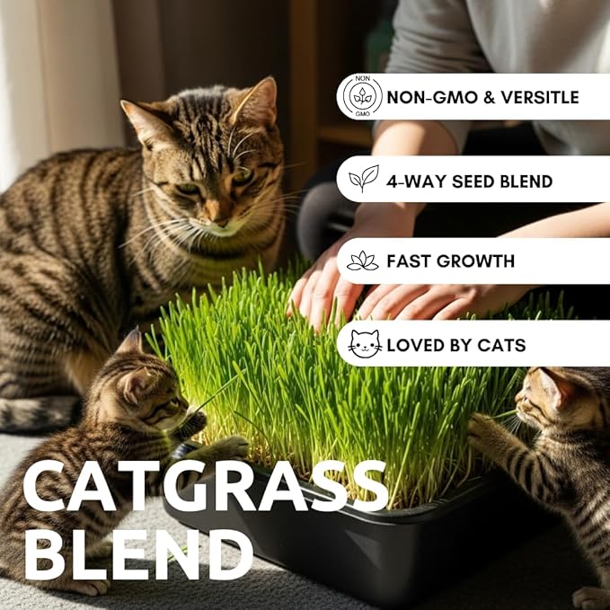 Cat Grass Seeds for Growing | 4 Way Blend, Rye, Wheat, Oats and Barley | Made in USA, Ships from Iowa. (1 Pound)