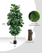 Fiddle Leaf Fig Tree 7ft Tall Artificial Tree in Plastic Pot Fake Ficus Lyrata Plants with 184 Decorative Fiddle Leaves Faux Fig Trees for Home Office Living Room Decor Indoor Outdoor
