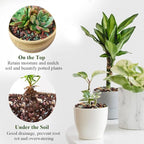 FANTIAN 10 lbs Succulent Cactus Soil Potting Mix,5-8 mm Pebbles Mix Horticultural Lava Rock