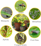 Fruit Fly Traps, 60 Pack Yellow Stick Traps, Fungus Gnat Traps, Plant Fly Stickers for Indoor and Outdoor Use Protect The Plant