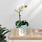 Orchid Pots with Holes,4 Inch Ceramic Orchid Pot for Repotting, Plant Pot for Repotting Orchids and Other Flowers - Indoor/Outdoor White