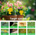 58 Pack Flying Insect Traps for Plants – Yellow Sticky Traps for Fungus Gnats, Flies & Flying Bugs, Indoor Outdoor Flying Bug Catcher for Pots, Garden & Kitchen, Non-Toxic, Odorless, Kid & Pet Safe