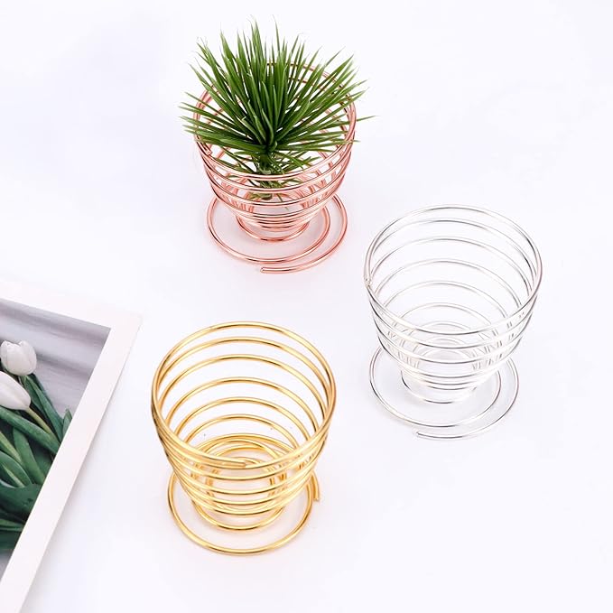 Air plant holders unique, 6pcs/pack Geometric Metal Plants Stand Airplant Container Tillandsia Holder Planter Shelves Airplants Rack Tabletop Decor for Plant Lovers(geometric + spring shape)