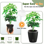 Self Watering Pots for Indoor Plants, 6-Pack 5'' Self Watering Planter with Drainage Holes, Small African Violet Pots with Water Indicator, Clear Wick Orchid Pot, Black
