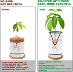 Bylion Avocado Tree Growing Kits, Avocado Growing Vase Wooden Base Avocado Seed Starter Vase Glass Plant Pot Easy Seed Sprout Starter Gift for Women Gardening Lovers Home Office Table Decoration