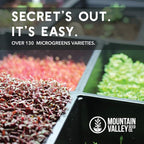 Kale Garden Seeds - Vates Blue Scotch Curled - 4 Oz - Non-GMO, Heirloom- Vegetable Gardening & Microgreens