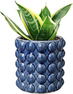 6 Inch Ceramic Planter Pot for Indoor Plants with Drainage Hole Bubble Flower Planter Hobnail Plant Pot Garden Planter Blue Succulent Plant Pot Utensil Holder