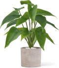 Mkono Fake Plants in Pot, 11" Potted Artificial Plants for Home Decor Indoor Faux Green Leaf Plant with Planter for Desk Shelf Table Office Room Decoration (Grey, Small)