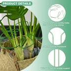 M METERXITY 1-Pack Monstera Plant Support, 11x5.9 Inch Reusable Sturdy Alloy Plant Support Stakes Unique Design for Potted Plants Flowers/Vegetables/Indoor Outdoor Climbing Plants [Green]