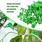 50 PCS Adjustable Plant Training Clips, Green Low Stress Support Clips for Stem Bending, Ideal for Grow Tents and Gardening