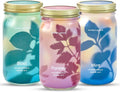 Modern Sprout Garden Jar Gift Pack - Self-Watering Hydroponics Growing System Kit with Organic Herb Seeds - Seed Starter Kit for Indoor Herb Garden - Home Decor & Gifting - Basil, Parsley & Mint