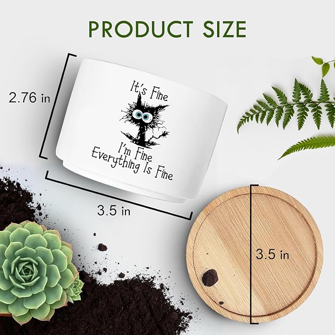 Funny Cat Plant Pot for Succulent, Cactus Flower Planter for Indoor Plants, Cute Succulents Pots with Inspirational Quote, Windowsill Decor Planter Gift for Cats Owner Cat Lover (No Plants)